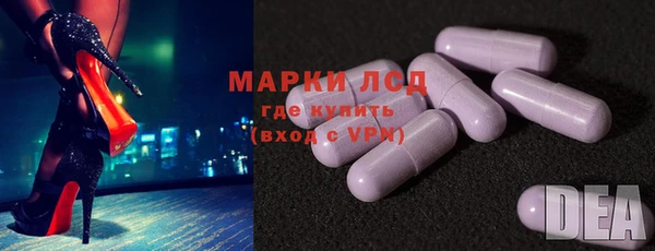 мяу мяу мука Чегем