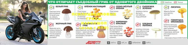 спиды Чердынь