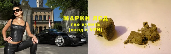 СК Чекалин
