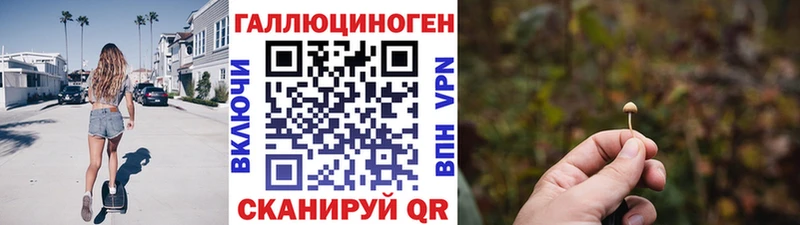 Псилоцибиновые грибы Psilocybine cubensis Красногорск