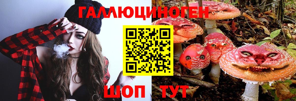 хочу наркоту  Вход с VPN  Красногорск  Псилоцибиновые грибы MAGIC MUSHROOMS 
