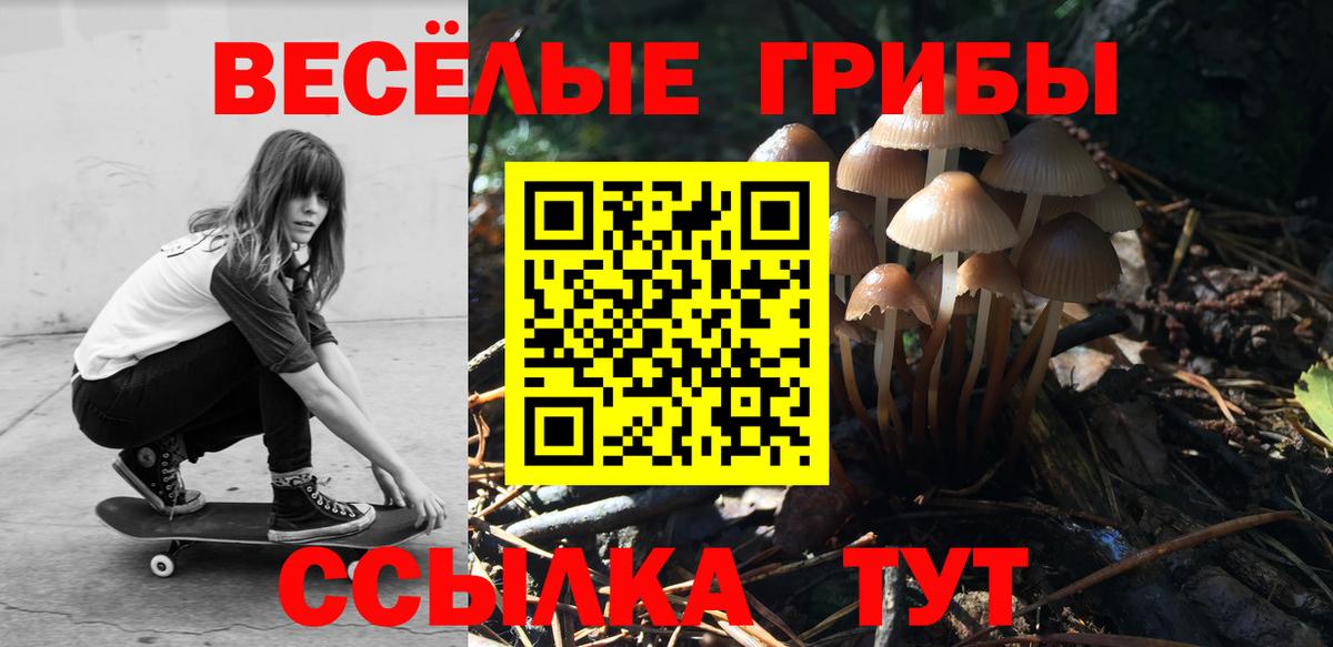 Галлюциногенные грибы Magic Shrooms Красногорск